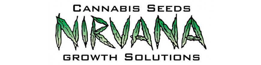 Nirvana
