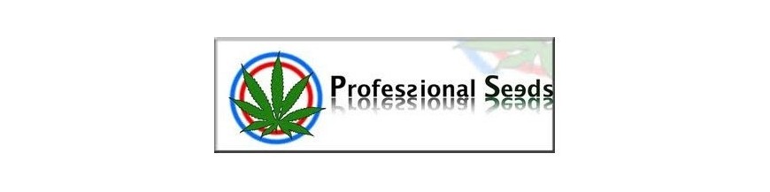 Professional Seeds