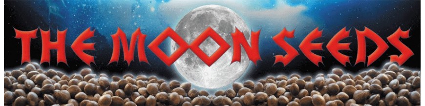The Moon Seeds