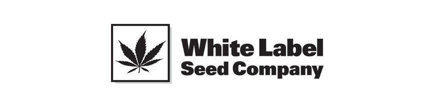 White Label Seeds