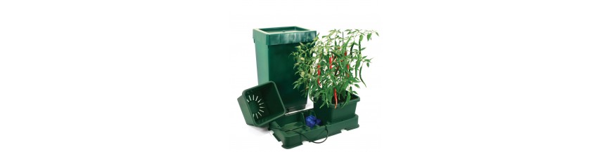 Autopot