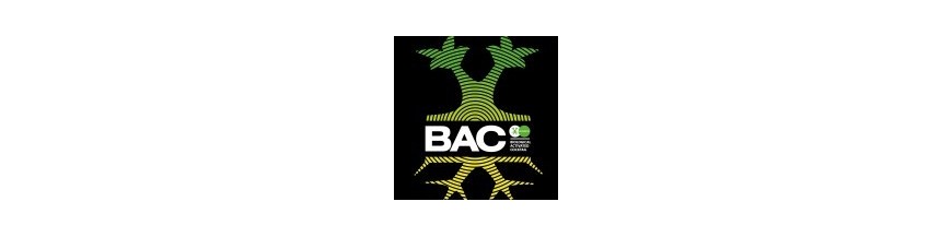 BAC BAC