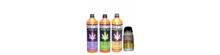 Cosmos