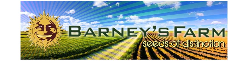 Barney's Farm