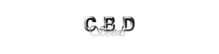 CBD Seeds