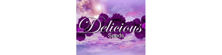 Delicious Seeds Delicious Seeds