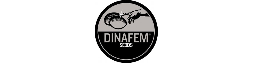 Dinafem Dinafem