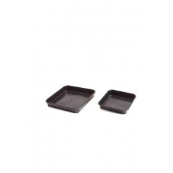 PLATO CUADRADO (25UD) PARA 7L