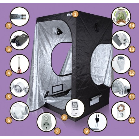 KIT DARK BOX 120 LAVENDER
