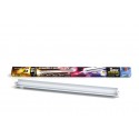 TUBO FLUORESCENTE TRIFOSFORO