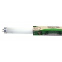 TUBO FLUORESCENTE TRIFOSFORO