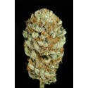 Bubba Kush Auto