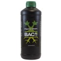  X-Seed Cup Bac