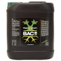  X-Seed Cup Bac
