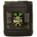  X-Seed Cup Bac