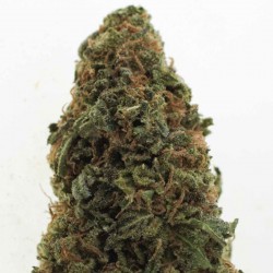 Sweet Diesel