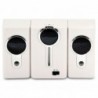 Altavoces amplificados PSS-001