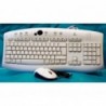 Teclado + Ratón óptico conexión PS2 Deluxe Logitec