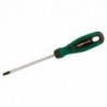 Destornillador Torx N-25 L-100 Electro DH 46.515-25