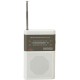 Receptor de radio analógico Daewoo DRP-100