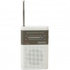 Receptor de radio analógico Daewoo DRP-100