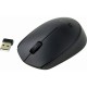 Ratón inalámbrico Logitech B170