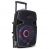 Altavoz trolley portable 15" BT MP3 USB Bola LED 170.096 Fenton FT15JB