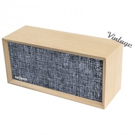 Altavoz bluetooth con reproductor MP3 USB Micro-SD FM Go-Rock GR-45