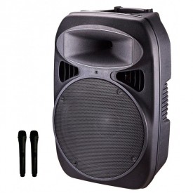 Altavoz trolley portable 15" BT MP3 USB SD Go-Rock GR-A2-15