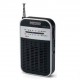 Receptor de radio analógico con altavoz Daewoo DRP-105