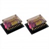Pareja de filtros divisores de 2 vías 250W conmutables CarPower CDN-2X