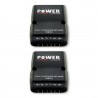 Pareja de filtros divisores de 2 vías 200W CarPower CDN-302/SW