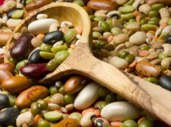 LEGUMBRES y ARROCES