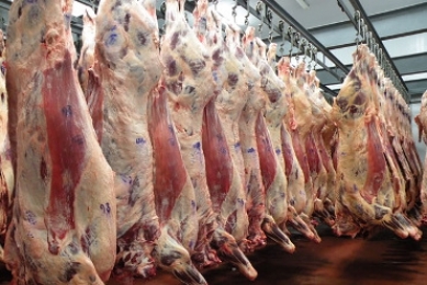 CARNE FRESCA y CONGELADA