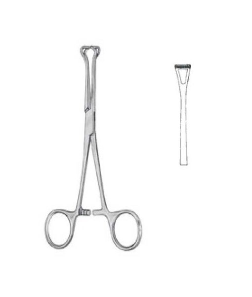 babcock-at-pinza-para-intestinos-160-c