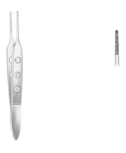 bishop-harman-pinpchalrecestr-85-c