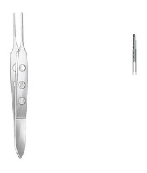 bishop-harman-pinpchalrecestr-85-c
