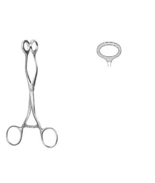 collin-pinza-para-sacar-tumores-160-cm collin-pinza-para-sacar-tumores-160-cm