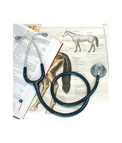 fonendo-littmann-master-veterinaria fonendo-littmann-master-veterinaria