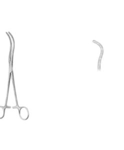 guyon-pinclppedunculo-rencrv-200c