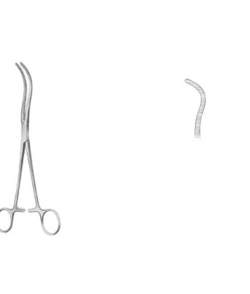 guyon-pinclppedunculo-rencrv-200c guyon-pinclppedunculo-rencrv-200c