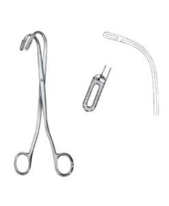 randall-pinpcalculos-renfig1-230-c