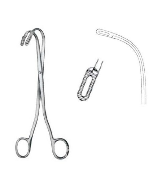 randall-pinpcalculos-renfig1-230-c randall-pinpcalculos-renfig1-230-c