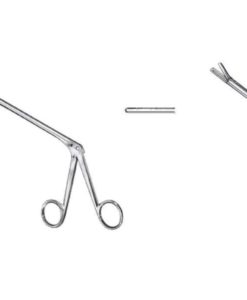 struycken-pinza-nasal-sacabocado-fig1
