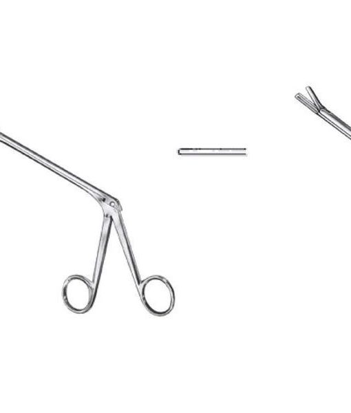 struycken-pinza-nasal-sacabocado-fig1