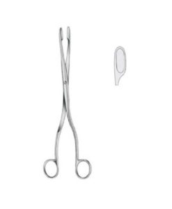 winter-pinzas-pabortorecfig1-280cm