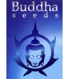 BUDDHA SEEDS