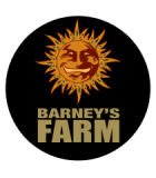 BARNEY'S FARM AUTOFLORECIENTES