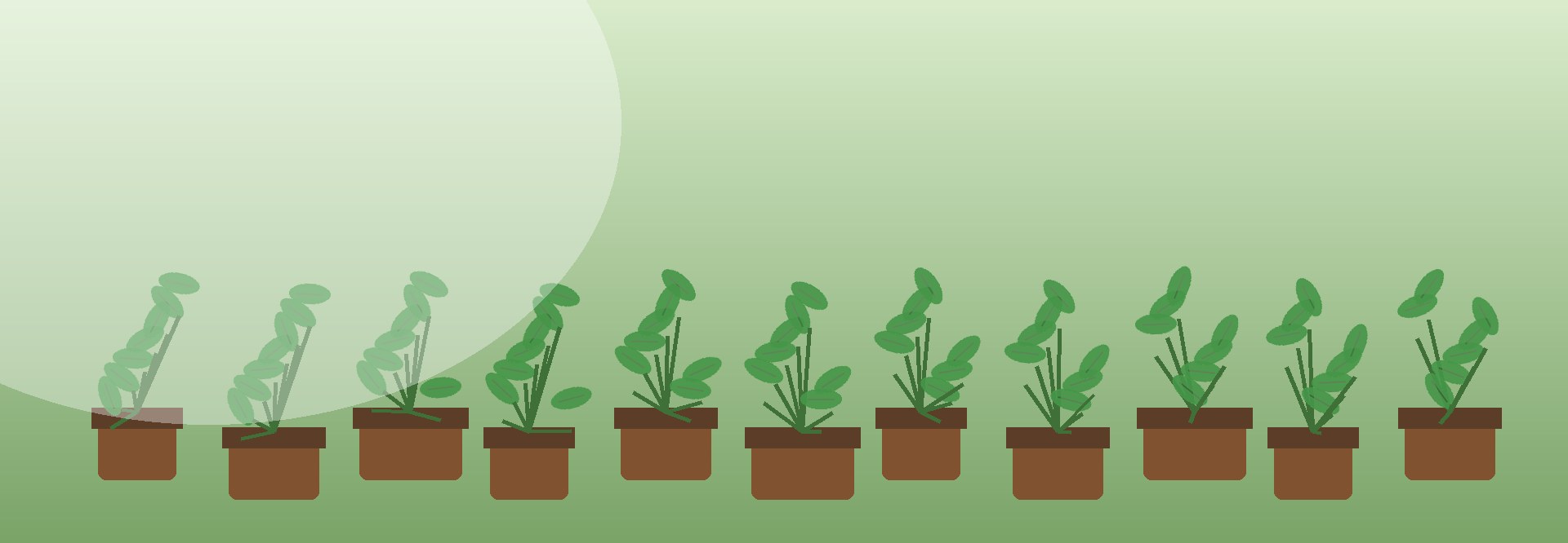 Grow Life Paradise
