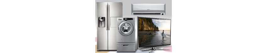 Electr&oacute;nica de Consumo y Gama Blanca